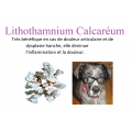 Lithothamnium 